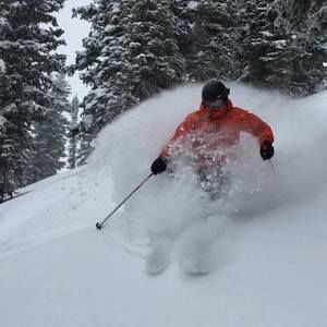 Meet your Posher, Steve